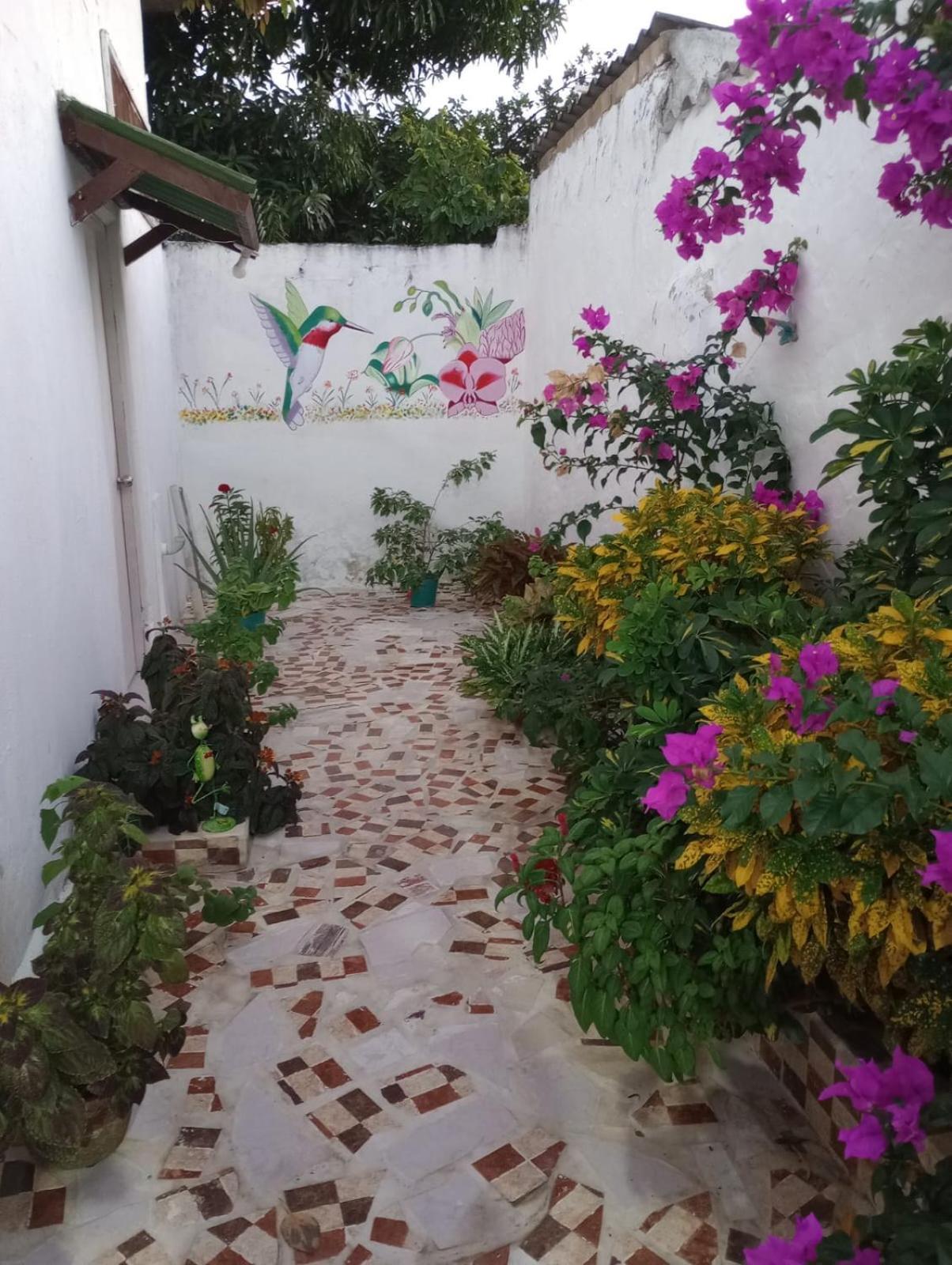 Hospedaje Casa Pachi En Cartagena De Indias ภายนอก รูปภาพ